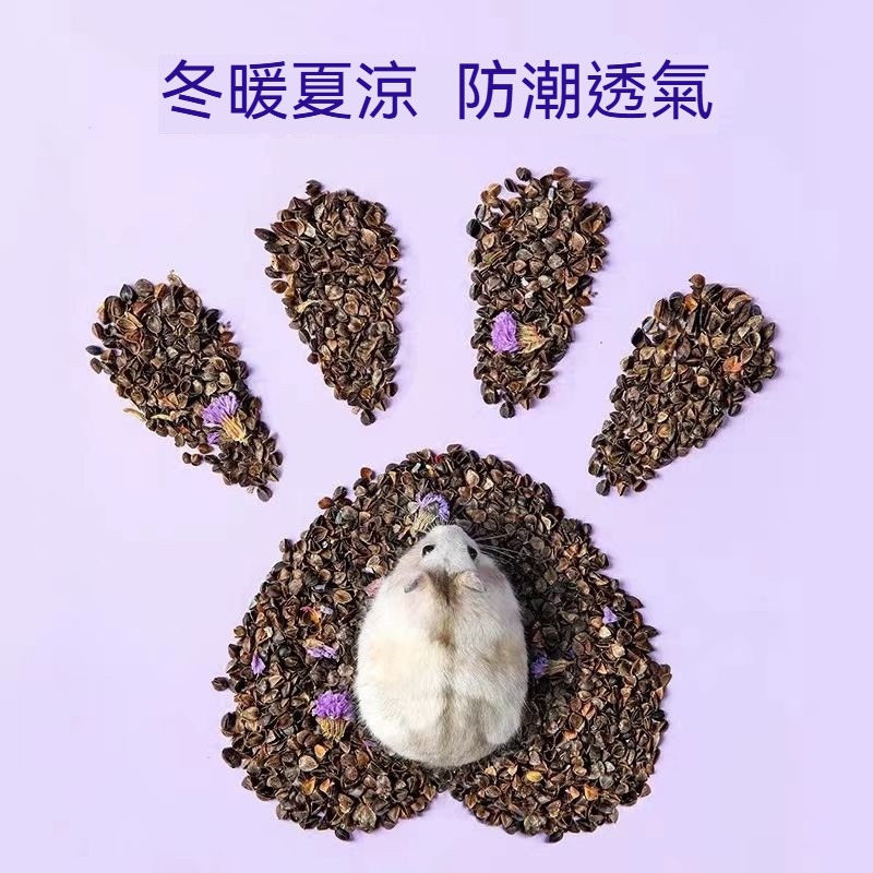 🐾隔日到貨✨ 倉鼠蕎麥砂 倉鼠蕎麥沙 蕎麥砂 蕎麥沙 倉鼠墊料 倉鼠墊材 倉鼠底材 倉鼠 倉鼠用品 除臭 透氣 無塵-細節圖3