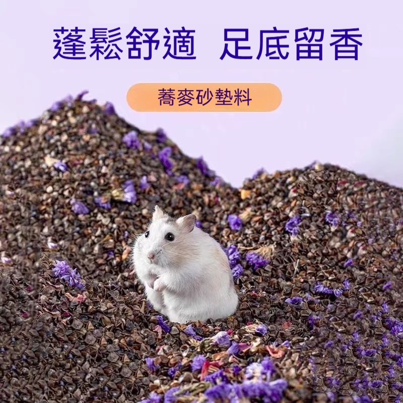 🐾隔日到貨✨ 倉鼠蕎麥砂 倉鼠蕎麥沙 蕎麥砂 蕎麥沙 倉鼠墊料 倉鼠墊材 倉鼠底材 倉鼠 倉鼠用品 除臭 透氣 無塵-細節圖4