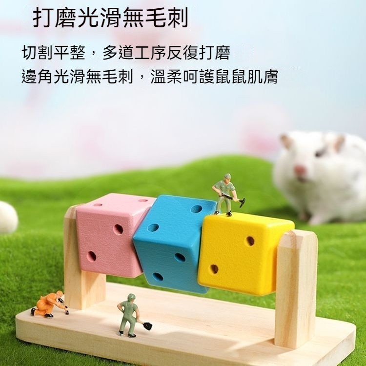 🐾隔日到貨✨ 趣味魔方 倉鼠玩具 黃金鼠玩具 倉鼠磨牙 磨牙玩具 小寵玩具 倉鼠 倉鼠用品 倉鼠造景 倉鼠造景用品-細節圖2
