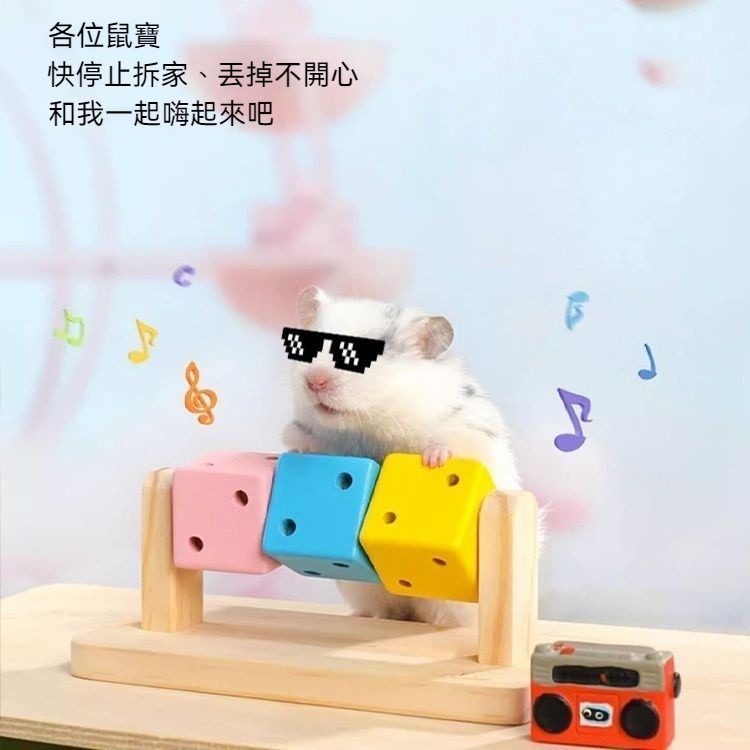 🐾隔日到貨✨ 趣味魔方 倉鼠玩具 黃金鼠玩具 倉鼠磨牙 磨牙玩具 小寵玩具 倉鼠 倉鼠用品 倉鼠造景 倉鼠造景用品-細節圖6