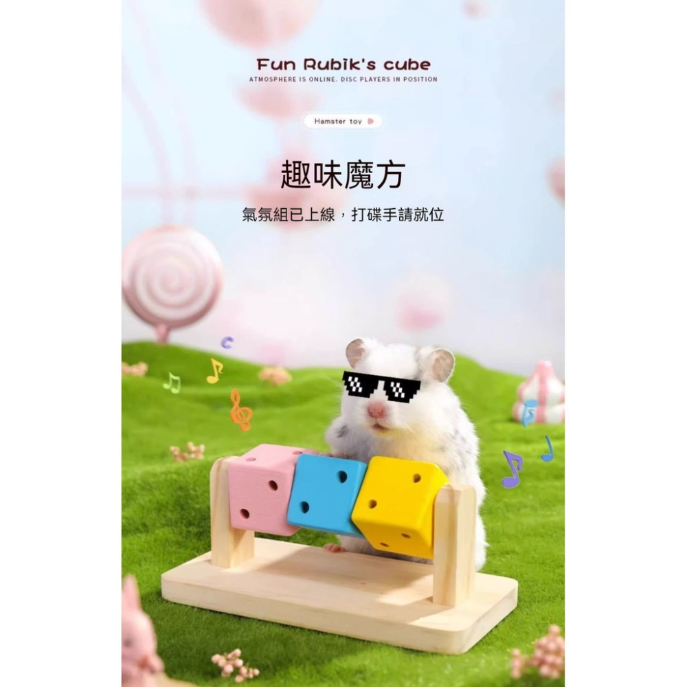 🐾隔日到貨✨ 趣味魔方 倉鼠玩具 黃金鼠玩具 倉鼠磨牙 磨牙玩具 小寵玩具 倉鼠 倉鼠用品 倉鼠造景 倉鼠造景用品-細節圖9