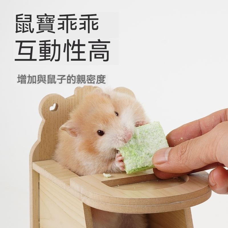 🐾台灣優選✨ 倉鼠椅子 倉鼠座椅 倉鼠椅 倉鼠餐椅 倉鼠玩具 倉鼠 倉鼠家具 倉鼠傢俱 倉鼠用具 倉鼠用品 倉鼠佈置-細節圖5