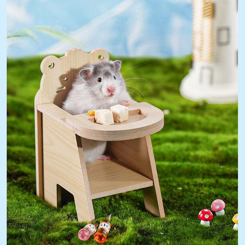 🐾台灣優選✨ 倉鼠椅子 倉鼠座椅 倉鼠椅 倉鼠餐椅 倉鼠玩具 倉鼠 倉鼠家具 倉鼠傢俱 倉鼠用具 倉鼠用品 倉鼠佈置-細節圖9