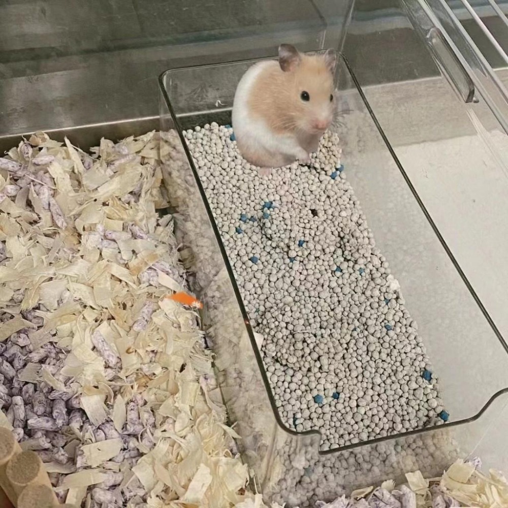 🐾台灣優選✨ 倉鼠浴室 倉鼠浴盆 倉鼠沙盆 倉鼠澡盆 倉鼠厠所 倉鼠厠所盆 沙盆 浴盆 倉鼠 倉鼠用品-細節圖4