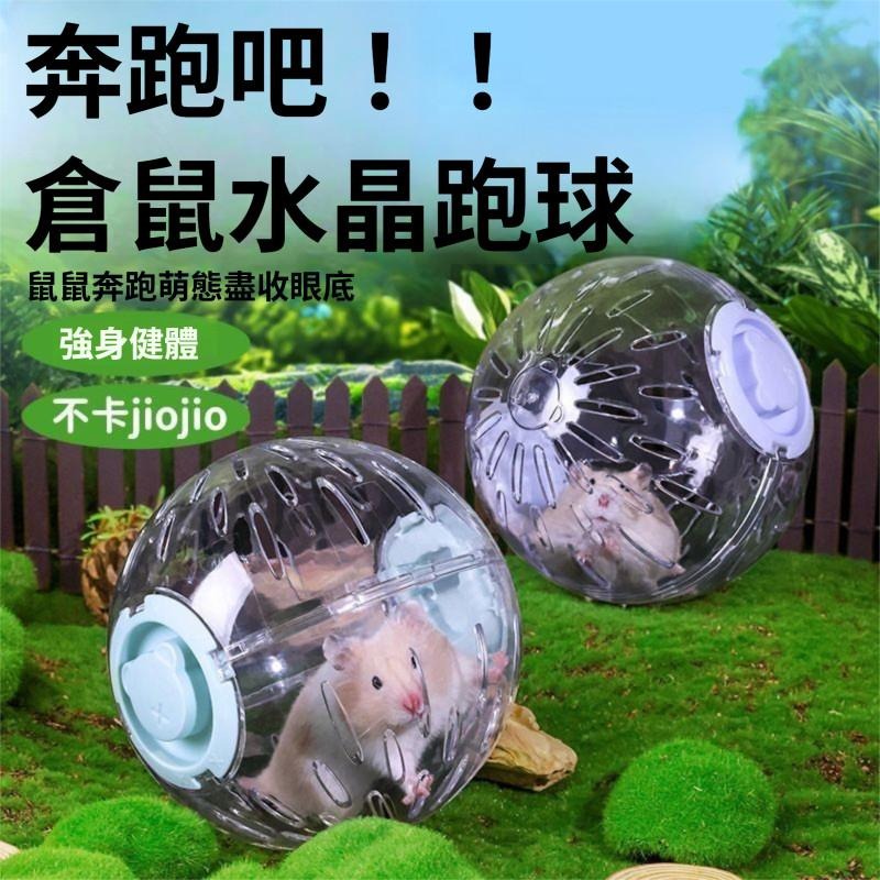 🐾台灣優選 倉鼠球 倉鼠跑球 倉鼠滾球 鼠球 寵物球 玩具球 黃金鼠球 倉鼠跑步球 倉鼠玩具 倉鼠用品 倉鼠用具-細節圖2