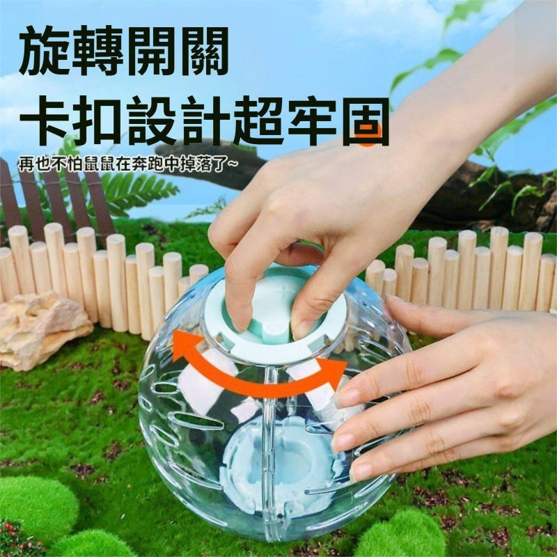 🐾台灣優選 倉鼠球 倉鼠跑球 倉鼠滾球 鼠球 寵物球 玩具球 黃金鼠球 倉鼠跑步球 倉鼠玩具 倉鼠用品 倉鼠用具-細節圖3