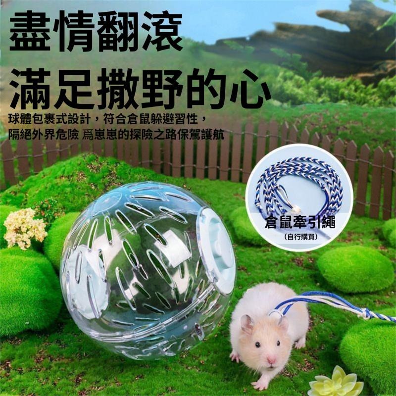 🐾台灣優選 倉鼠球 倉鼠跑球 倉鼠滾球 鼠球 寵物球 玩具球 黃金鼠球 倉鼠跑步球 倉鼠玩具 倉鼠用品 倉鼠用具-細節圖4