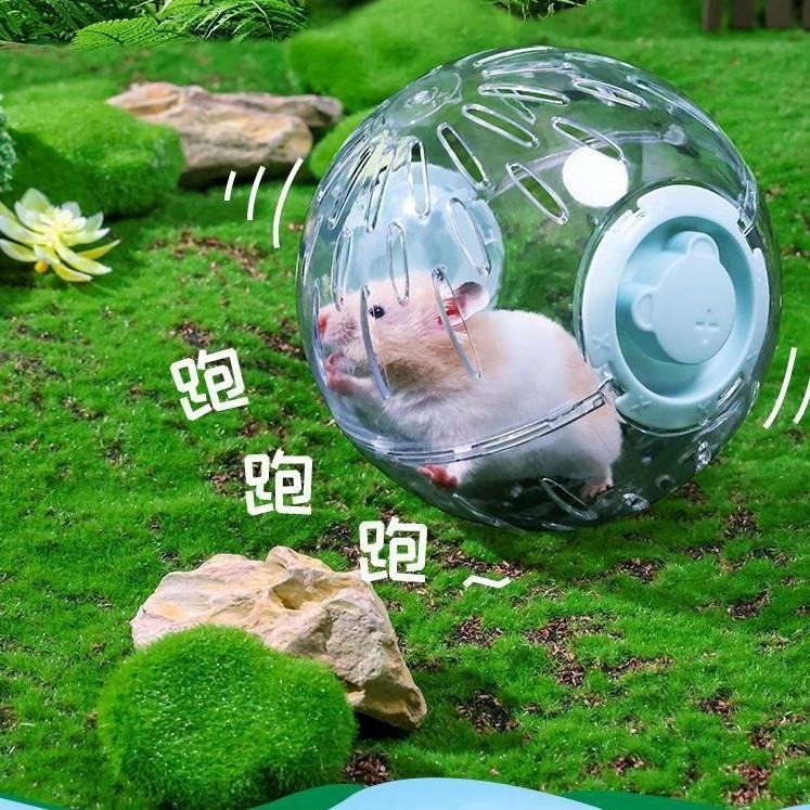 🐾台灣優選 倉鼠球 倉鼠跑球 倉鼠滾球 鼠球 寵物球 玩具球 黃金鼠球 倉鼠跑步球 倉鼠玩具 倉鼠用品 倉鼠用具-細節圖5