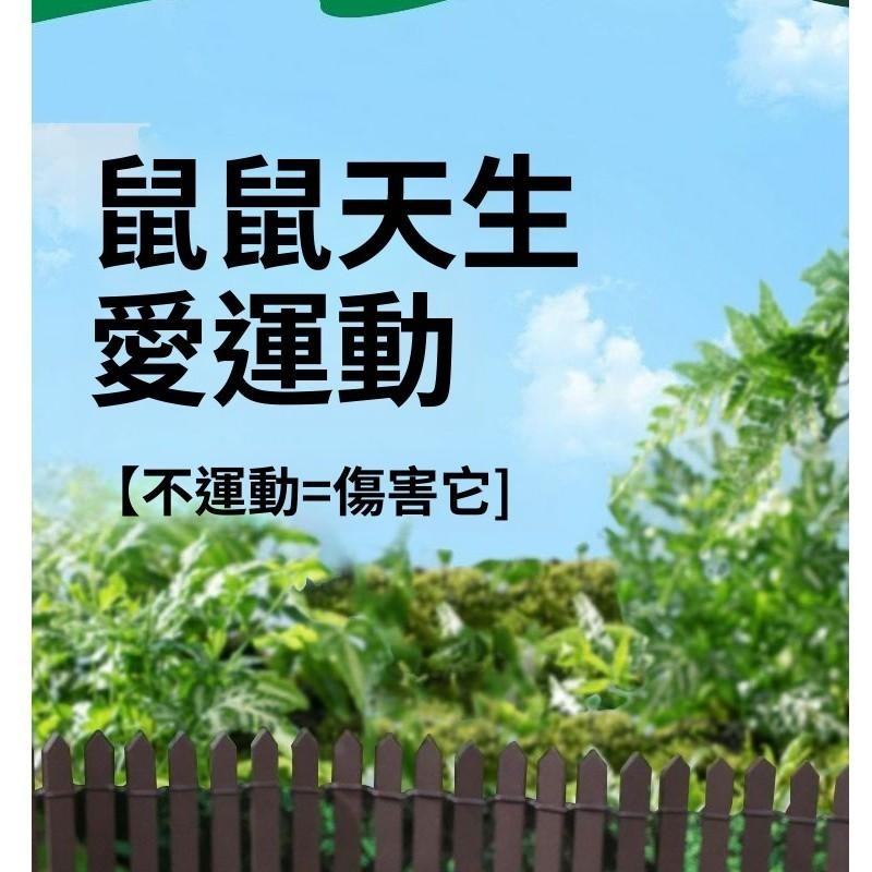 🐾台灣優選 倉鼠球 倉鼠跑球 倉鼠滾球 鼠球 寵物球 玩具球 黃金鼠球 倉鼠跑步球 倉鼠玩具 倉鼠用品 倉鼠用具-細節圖6