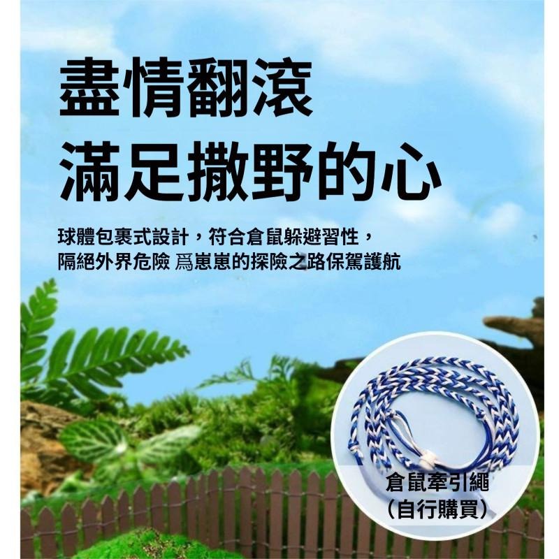 🐾台灣優選 倉鼠球 倉鼠跑球 倉鼠滾球 鼠球 寵物球 玩具球 黃金鼠球 倉鼠跑步球 倉鼠玩具 倉鼠用品 倉鼠用具-細節圖8