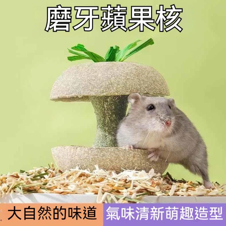 🐾台灣優選✨ 倉鼠蘋果核 倉鼠磨牙棒 倉鼠磨牙 磨牙倉鼠 鼠磨牙 老鼠磨牙棒 倉鼠 黃金鼠 倉鼠造景-細節圖2