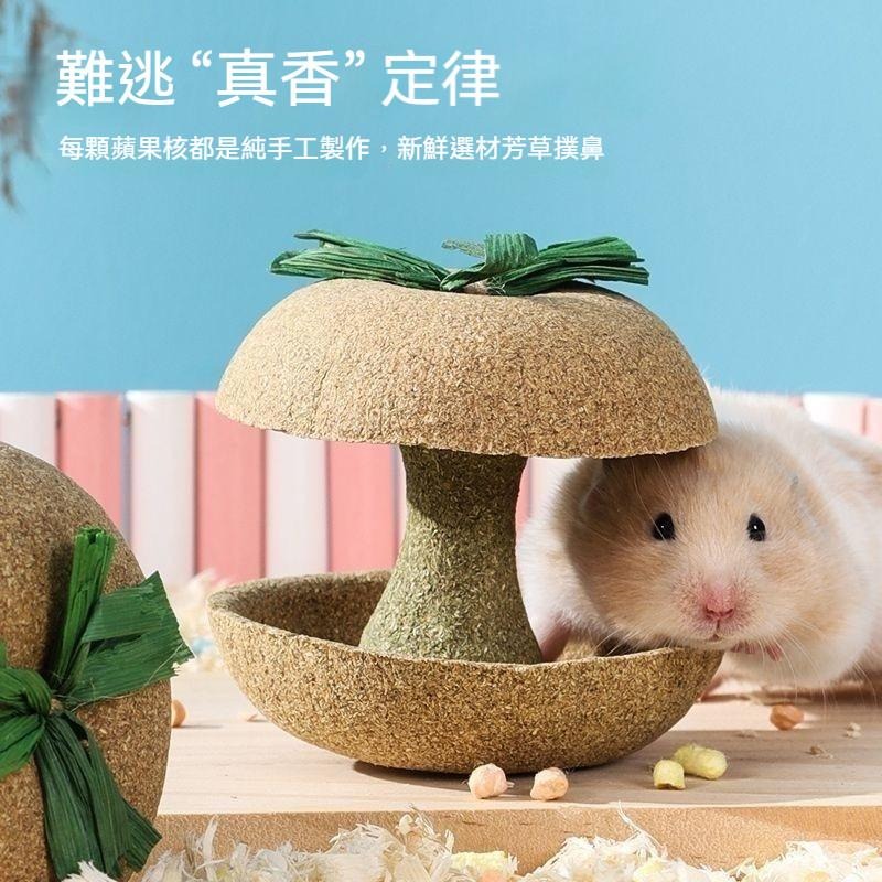 🐾台灣優選✨ 倉鼠蘋果核 倉鼠磨牙棒 倉鼠磨牙 磨牙倉鼠 鼠磨牙 老鼠磨牙棒 倉鼠 黃金鼠 倉鼠造景-細節圖3
