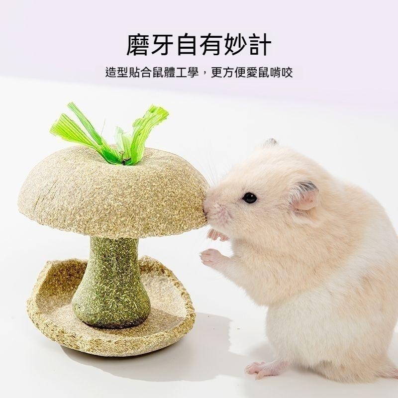 🐾台灣優選✨ 倉鼠蘋果核 倉鼠磨牙棒 倉鼠磨牙 磨牙倉鼠 鼠磨牙 老鼠磨牙棒 倉鼠 黃金鼠 倉鼠造景-細節圖4