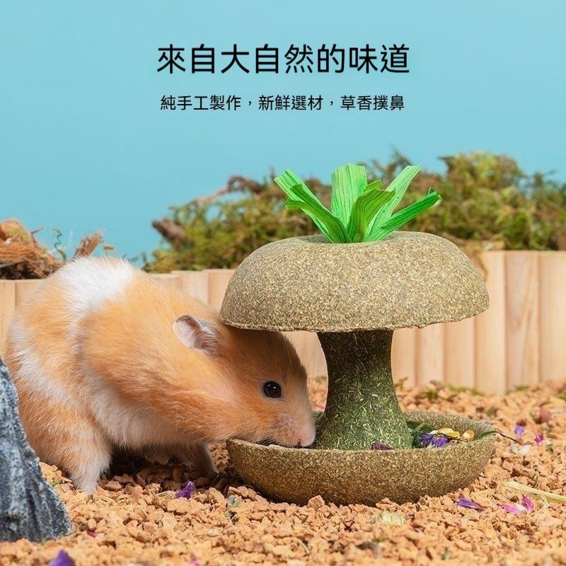 🐾台灣優選✨ 倉鼠蘋果核 倉鼠磨牙棒 倉鼠磨牙 磨牙倉鼠 鼠磨牙 老鼠磨牙棒 倉鼠 黃金鼠 倉鼠造景-細節圖5