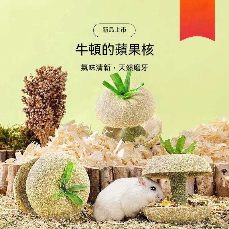 🐾台灣優選✨ 倉鼠蘋果核 倉鼠磨牙棒 倉鼠磨牙 磨牙倉鼠 鼠磨牙 老鼠磨牙棒 倉鼠 黃金鼠 倉鼠造景-細節圖6