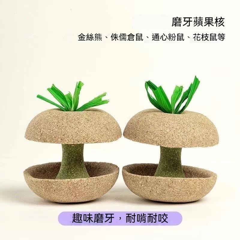 🐾台灣優選✨ 倉鼠蘋果核 倉鼠磨牙棒 倉鼠磨牙 磨牙倉鼠 鼠磨牙 老鼠磨牙棒 倉鼠 黃金鼠 倉鼠造景-細節圖7