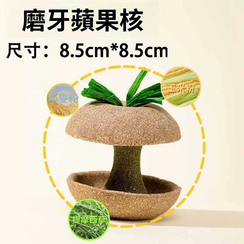 🐾台灣優選✨ 倉鼠蘋果核 倉鼠磨牙棒 倉鼠磨牙 磨牙倉鼠 鼠磨牙 老鼠磨牙棒 倉鼠 黃金鼠 倉鼠造景-規格圖9