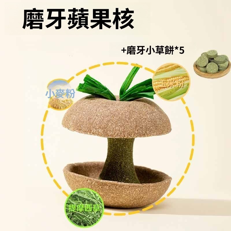 🐾台灣優選✨ 倉鼠蘋果核 倉鼠磨牙棒 倉鼠磨牙 磨牙倉鼠 鼠磨牙 老鼠磨牙棒 倉鼠 黃金鼠 倉鼠造景-規格圖9