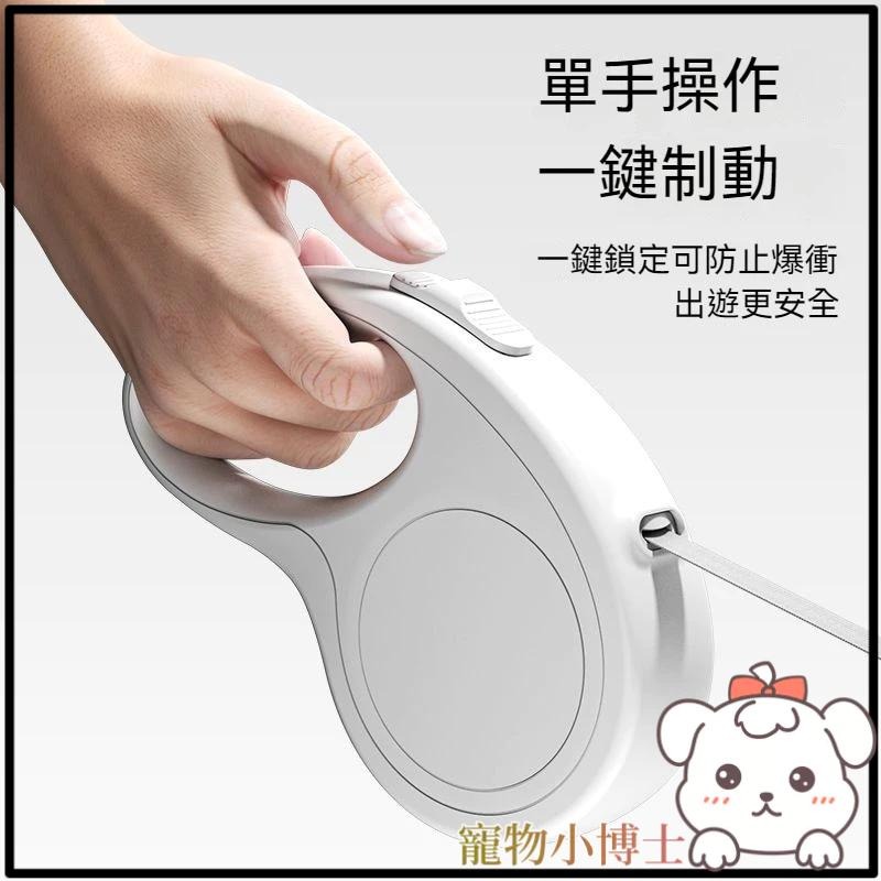 🐾台灣優選✨ 牽引繩 貓咪牽引繩 寵物牽引繩 貓咪牽繩 貓牽繩 戶外牽引繩 寵物用品 狗狗牽引繩 狗牽引繩-細節圖8