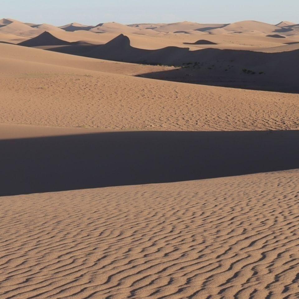 🐾台灣優選✨ 倉鼠沙漠沙 沙漠沙 天然沙漠沙 倉鼠沙漠砂 鼠砂 倉鼠沙 沙漠砂 倉鼠尿沙 倉鼠廁所沙 倉鼠 倉鼠用品-細節圖6