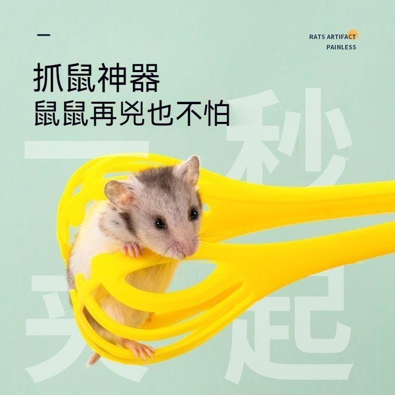 🐾台灣優選✨ 倉鼠夾 倉鼠夾子 捕鼠神器 捕鼠夾子 鼠夾 夾子 倉鼠 抓倉鼠 黃金鼠 倉鼠用具 倉鼠用品 防抓傷-細節圖2