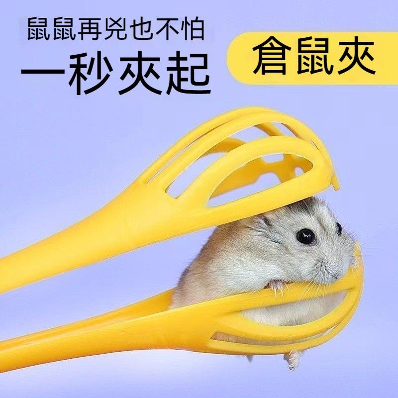🐾台灣優選✨ 倉鼠夾 倉鼠夾子 捕鼠神器 捕鼠夾子 鼠夾 夾子 倉鼠 抓倉鼠 黃金鼠 倉鼠用具 倉鼠用品 防抓傷-細節圖3