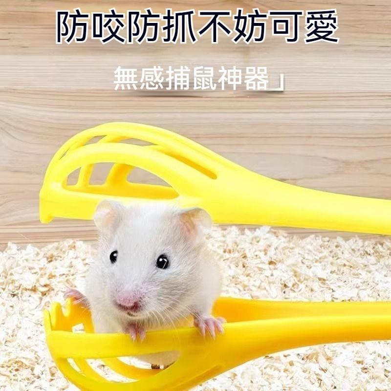 🐾台灣優選✨ 倉鼠夾 倉鼠夾子 捕鼠神器 捕鼠夾子 鼠夾 夾子 倉鼠 抓倉鼠 黃金鼠 倉鼠用具 倉鼠用品 防抓傷-細節圖7
