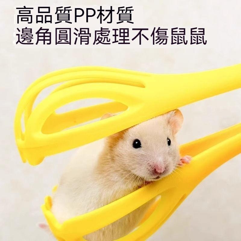 🐾台灣優選✨ 倉鼠夾 倉鼠夾子 捕鼠神器 捕鼠夾子 鼠夾 夾子 倉鼠 抓倉鼠 黃金鼠 倉鼠用具 倉鼠用品 防抓傷-細節圖8