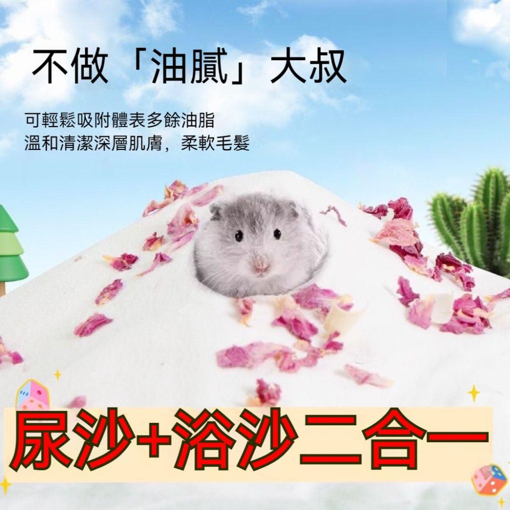🐾台灣優選 倉鼠浴沙 倉鼠沐浴沙 倉鼠廁所砂 倉鼠沐浴 倉鼠 倉鼠浴室 浴沙 小寵廁砂 倉鼠洗澡 倉鼠用品 倉鼠造景-細節圖5