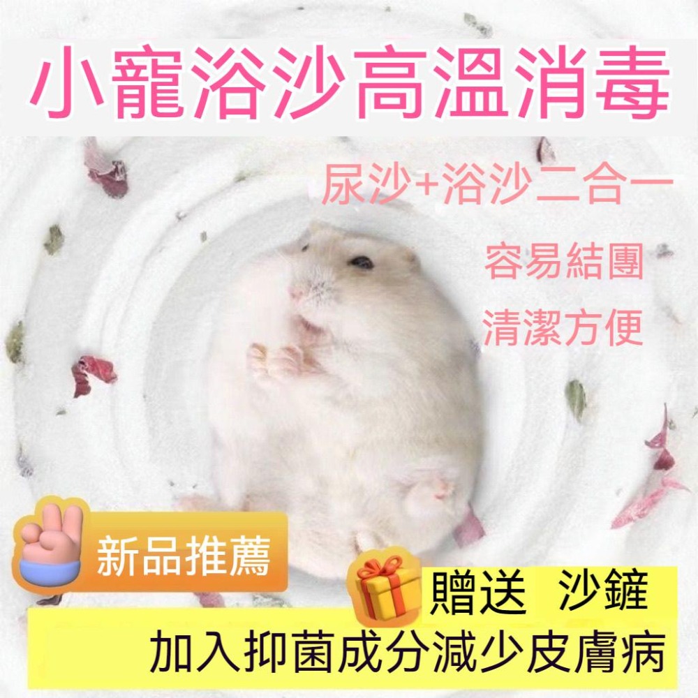 🐾台灣優選 倉鼠浴沙 倉鼠沐浴沙 倉鼠廁所砂 倉鼠沐浴 倉鼠 倉鼠浴室 浴沙 小寵廁砂 倉鼠洗澡 倉鼠用品 倉鼠造景-細節圖6