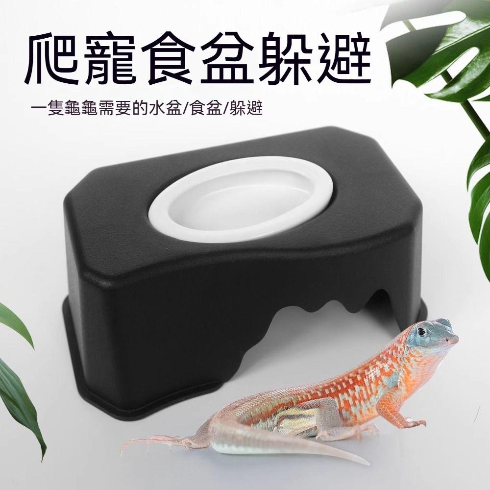 🐾台灣優選 守宮躲避屋 守宮屋 守宮窩 造景躲避屋 爬蟲躲避屋 躲藏棲息屋 躲避屋 守宮 蜥蜴 爬蟲造景 爬蟲用品-細節圖2
