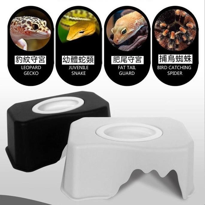 🐾台灣優選 守宮躲避屋 守宮屋 守宮窩 造景躲避屋 爬蟲躲避屋 躲藏棲息屋 躲避屋 守宮 蜥蜴 爬蟲造景 爬蟲用品-細節圖3
