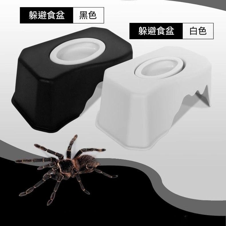 🐾台灣優選 守宮躲避屋 守宮屋 守宮窩 造景躲避屋 爬蟲躲避屋 躲藏棲息屋 躲避屋 守宮 蜥蜴 爬蟲造景 爬蟲用品-細節圖5