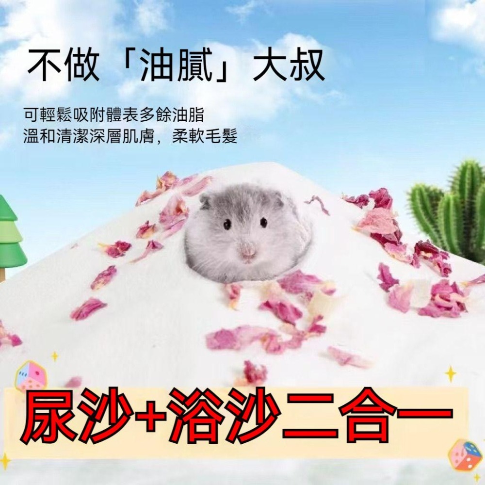 🐾台灣優選✨ 倉鼠浴沙 倉鼠沐浴沙 倉鼠廁所砂 鼠砂 鼠沙 沐浴沙 倉鼠沐浴 倉鼠 黃金鼠 浴沙 小寵廁砂 倉鼠用品-細節圖4