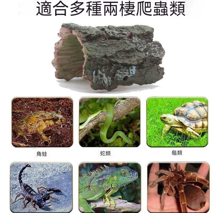 🐾台灣優選✨ 仿真樹皮 爬蟲樹 爬寵躲避屋 爬蟲躲避屋 守宮躲避屋 守宮屋 守宮窩 爬蟲躲避 爬蟲造景 爬蟲用品-細節圖5