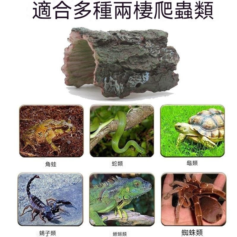 🐾台灣優選✨ 仿真樹皮 爬蟲樹 爬寵躲避屋 爬蟲躲避屋 守宮躲避屋 守宮屋 守宮窩 爬蟲躲避 爬蟲造景 爬蟲用品-細節圖8