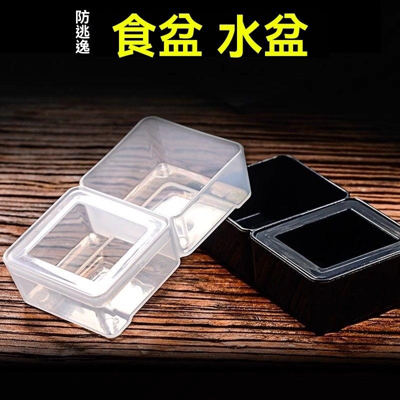 🐾台灣優選 爬蟲餵食盆 防逃食盆 守宮食盆 守宮飼養盒 寵物食盆 寵物水盆 爬蟲食盆 爬蟲水盆 守宮 蜥蜴 爬蟲用品-細節圖5