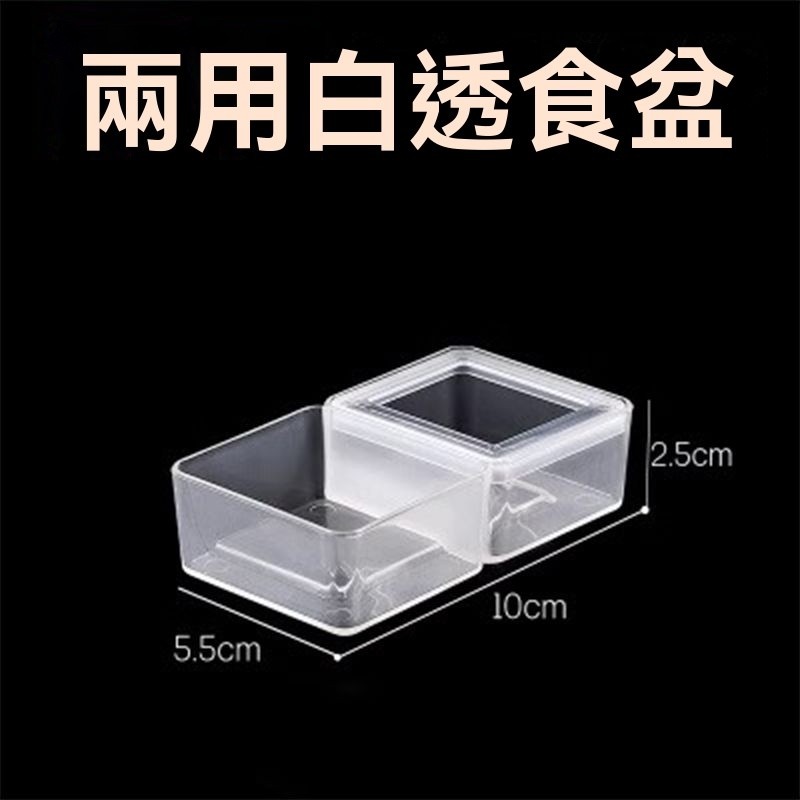 二合一白透[1個]