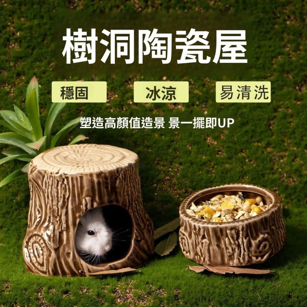 🐾台灣優選✨ 樹洞躲避屋 倉鼠樹洞 倉鼠陶瓷窩 倉鼠涼窩 倉鼠冰屋 倉鼠躲避屋 倉鼠陶瓷屋 倉鼠 倉鼠造景 倉鼠降溫-細節圖6