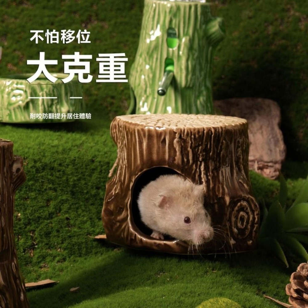 🐾台灣優選✨ 樹洞躲避屋 倉鼠樹洞 倉鼠陶瓷窩 倉鼠涼窩 倉鼠冰屋 倉鼠躲避屋 倉鼠陶瓷屋 倉鼠 倉鼠造景 倉鼠降溫-細節圖7