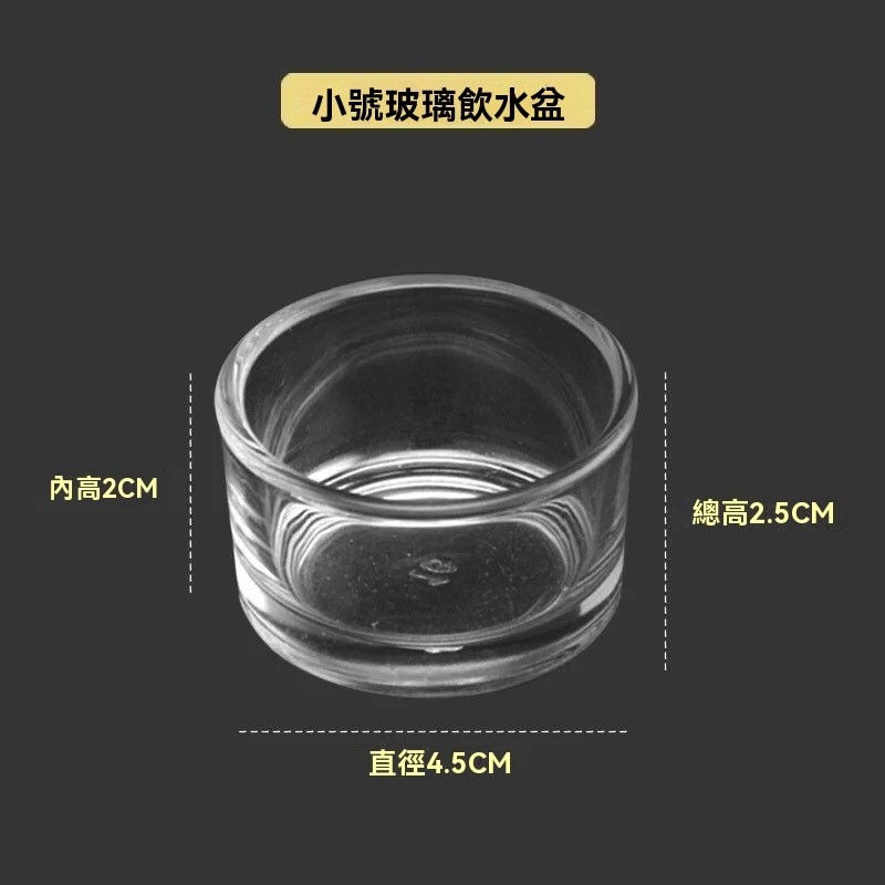 🐾台灣優選✨ 玻璃餵食盆 守宮飼料盆 玻璃水盆 守宮水盆 守宮食盆 烏龜食盆 爬蟲水盆 角蛙水盆 爬蟲食盆 守宮飼養-規格圖5