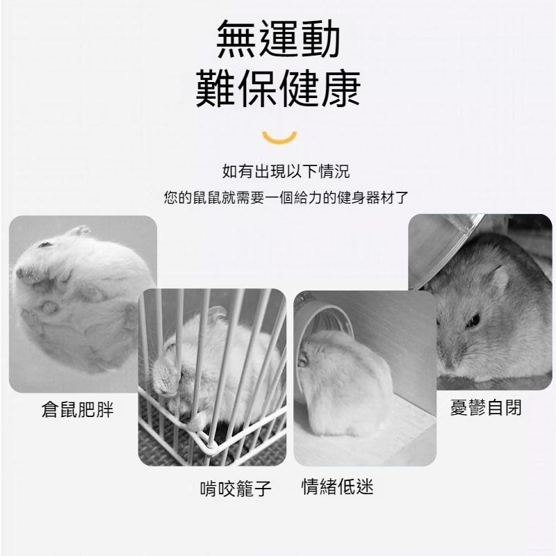 🐾台灣優選✨ 倉鼠滾輪 跑輪 靜音滾輪 倉鼠跑輪 黃金鼠滾輪 老鼠滾輪 倉鼠 倉鼠玩具 倉鼠用品 倉鼠用具 倉鼠運動-細節圖4