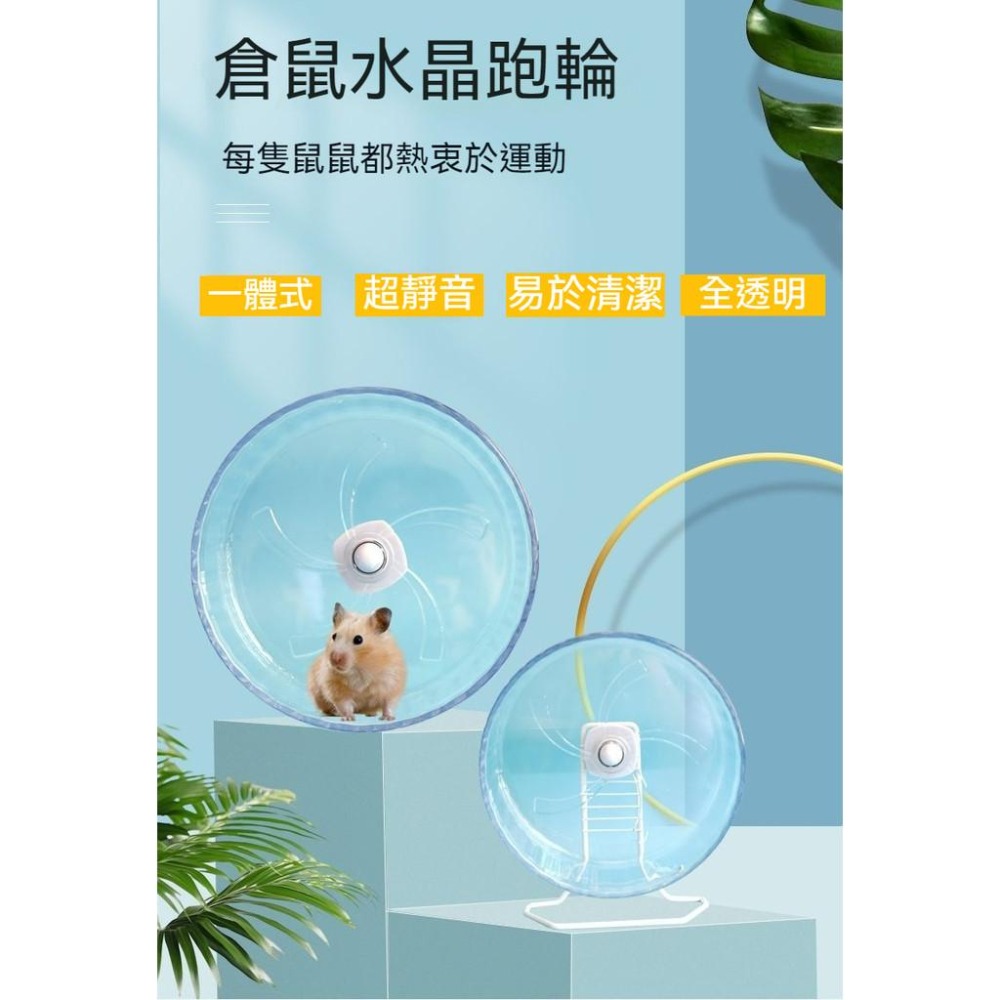 🐾台灣優選✨ 倉鼠滾輪 跑輪 靜音滾輪 倉鼠跑輪 黃金鼠滾輪 老鼠滾輪 倉鼠 倉鼠玩具 倉鼠用品 倉鼠用具 倉鼠運動-細節圖6