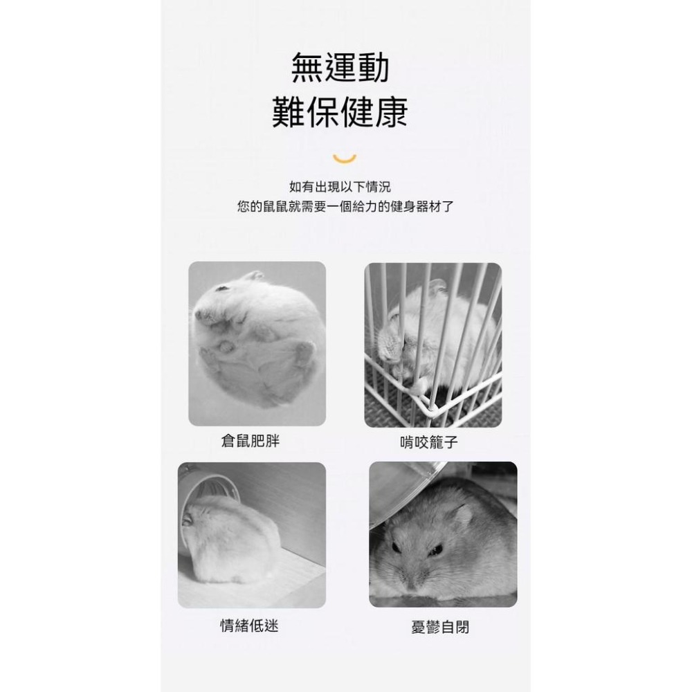 🐾台灣優選✨ 倉鼠滾輪 跑輪 靜音滾輪 倉鼠跑輪 黃金鼠滾輪 老鼠滾輪 倉鼠 倉鼠玩具 倉鼠用品 倉鼠用具 倉鼠運動-細節圖7
