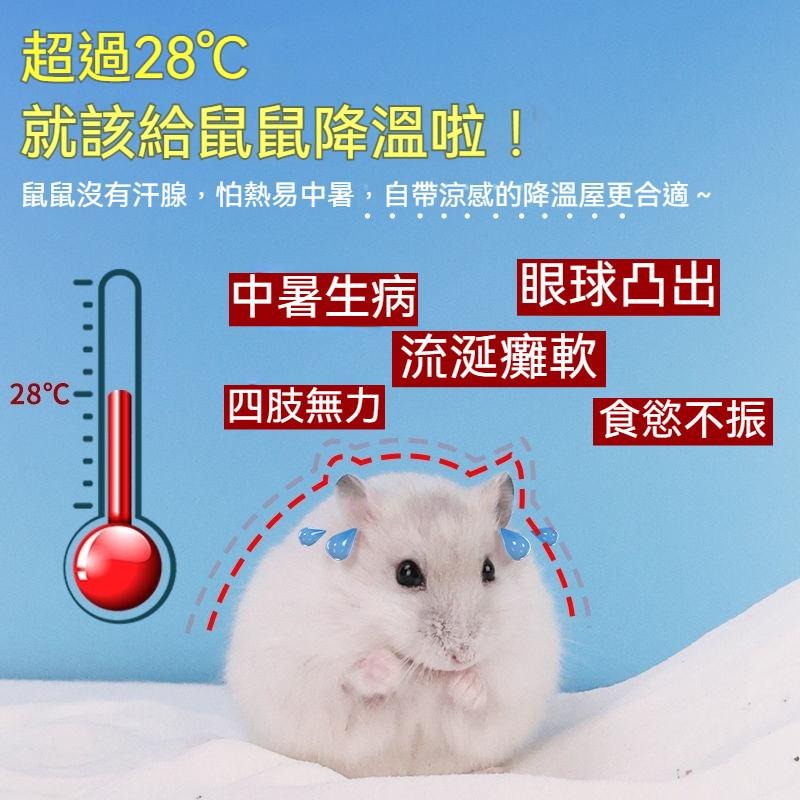 🐾台灣優選 倉鼠冰窩 倉鼠冰屋 倉鼠降溫 倉鼠散熱 倉鼠散熱屋 倉鼠躲避屋 仓鼠 倉鼠用具 倉鼠配件 倉鼠躲避 散熱-細節圖2