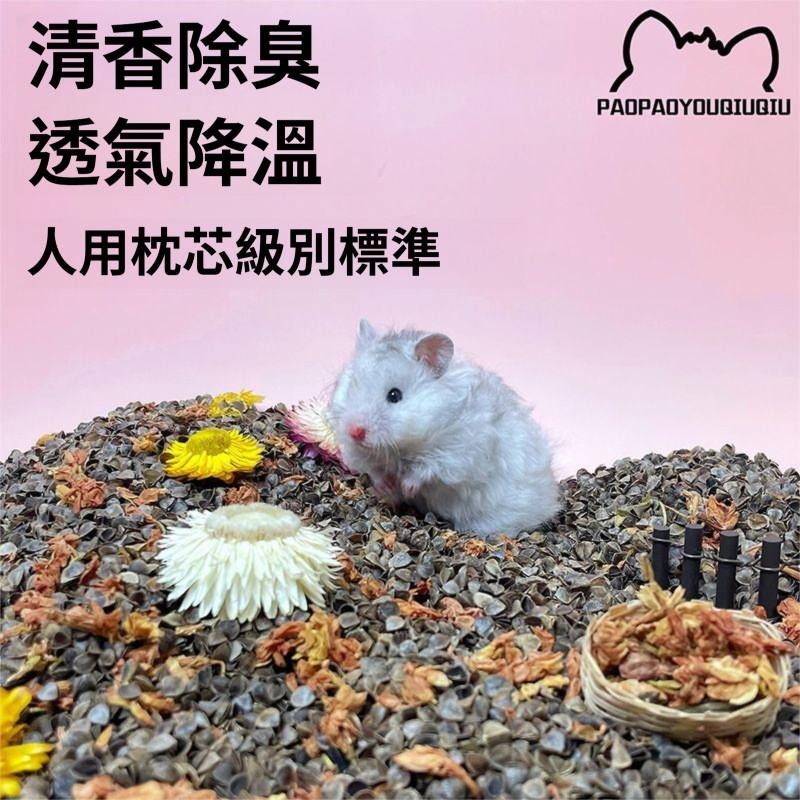 🐾台灣優選✨ 生物酶蕎麥砂 倉鼠墊料 蕎麥砂 蕎麥沙 倉鼠蕎麥砂 倉鼠蕎麥沙 黃金鼠墊料 倉鼠 黃金鼠 透氣 低塵-細節圖2
