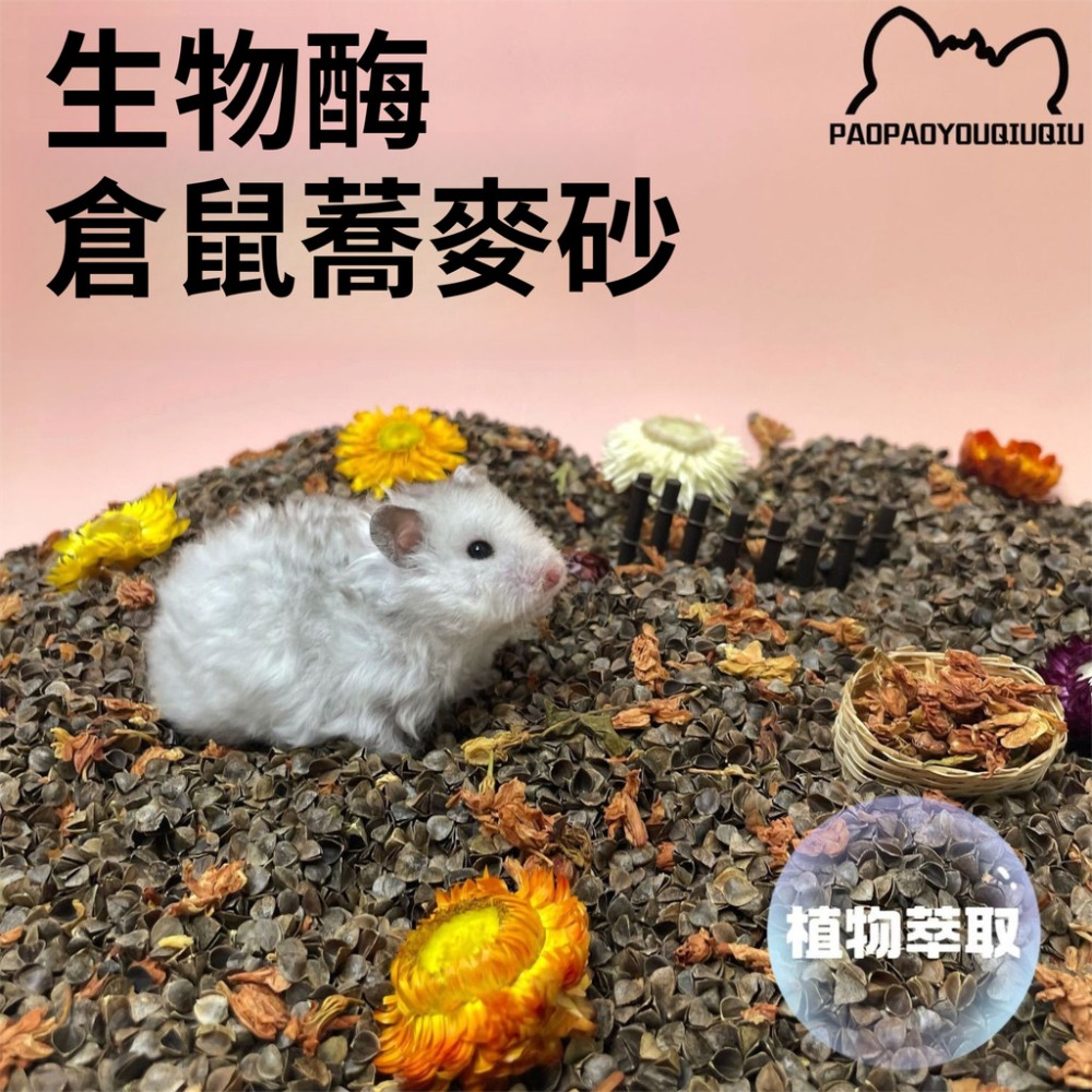 🐾台灣優選✨ 生物酶蕎麥砂 倉鼠墊料 蕎麥砂 蕎麥沙 倉鼠蕎麥砂 倉鼠蕎麥沙 黃金鼠墊料 倉鼠 黃金鼠 透氣 低塵-規格圖3
