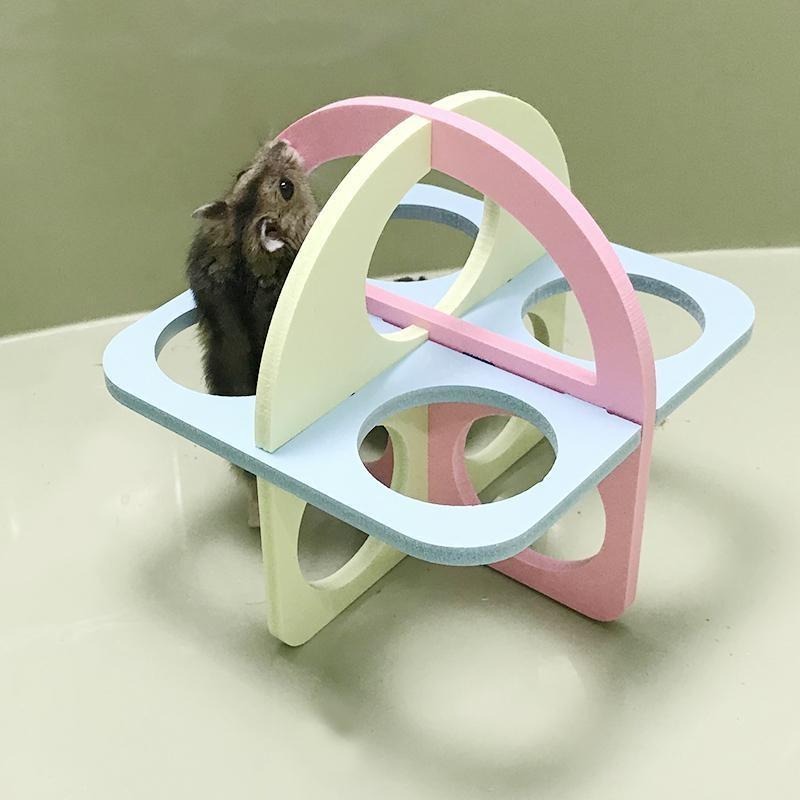 🐾台灣優選 倉鼠造景 倉鼠木屋 倉鼠玩具 倉鼠家具 倉鼠爬梯 倉鼠房子 倉鼠屋子 倉鼠躲避屋 倉鼠躲避 倉鼠用具-細節圖5