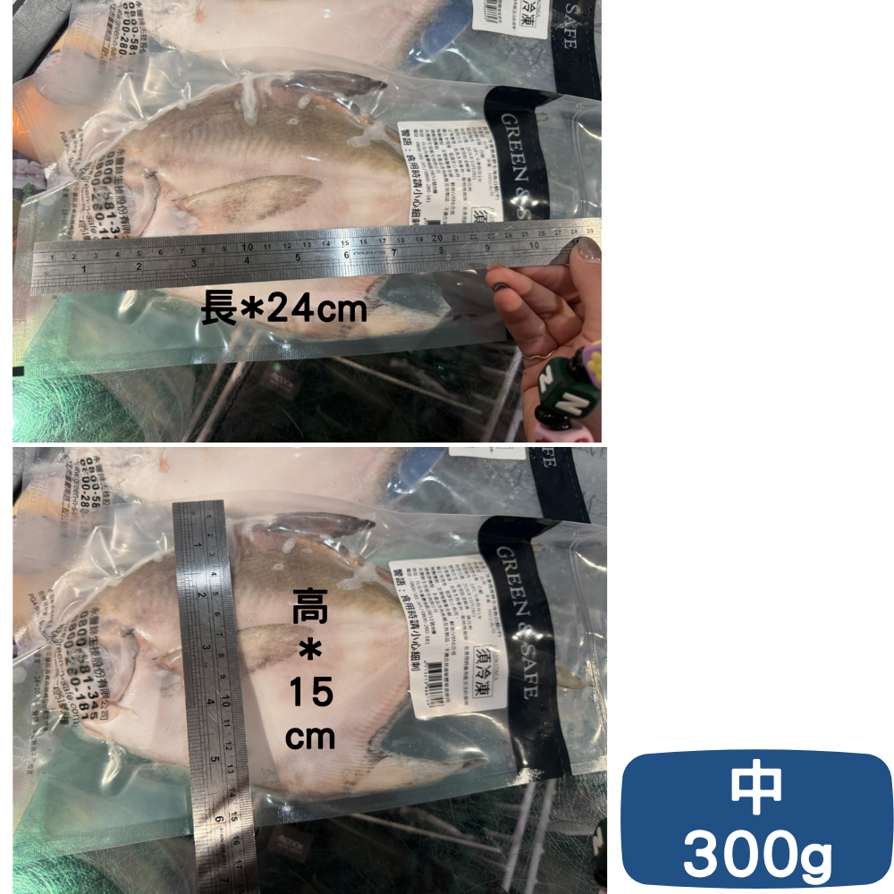 現撈野生海魚白鯧-中 300g