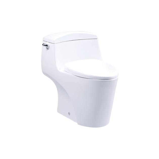 🚚限時免運 Caesar 凱撒 省水單體馬桶 靜音馬桶 便座 省水馬桶 抗汙抗菌 經典低水箱 C1353 (含發票)-細節圖2